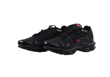 NIKE AIR MAX PLUS TN–BLACK -CADMIUM RED LOGO (2)