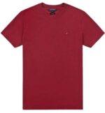 טומי הילפיגר-TOMMY TSHIRT MEN'S - Mandarian ORG