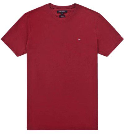 טומי הילפיגר-TOMMY TSHIRT MEN'S - Mandarian ORG