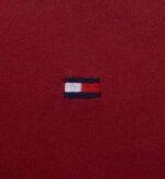 טומי הילפיגר-TOMMY TSHIRT MEN'S - Mandarian ORG