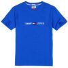 טומי הילפיגר-TOMMY TSHIRT MEN'S - BLUE