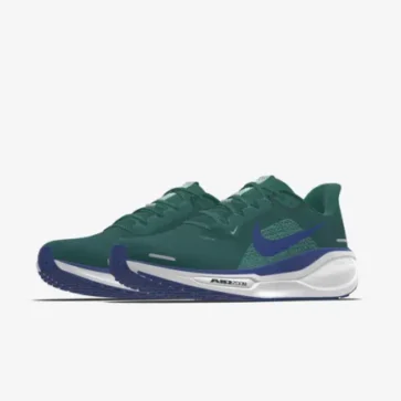 custom-nike-pegasus-41-by-you (1)