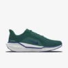 נעלי נייק פגסוס - Nike Pegasus 41 By You Green Blue